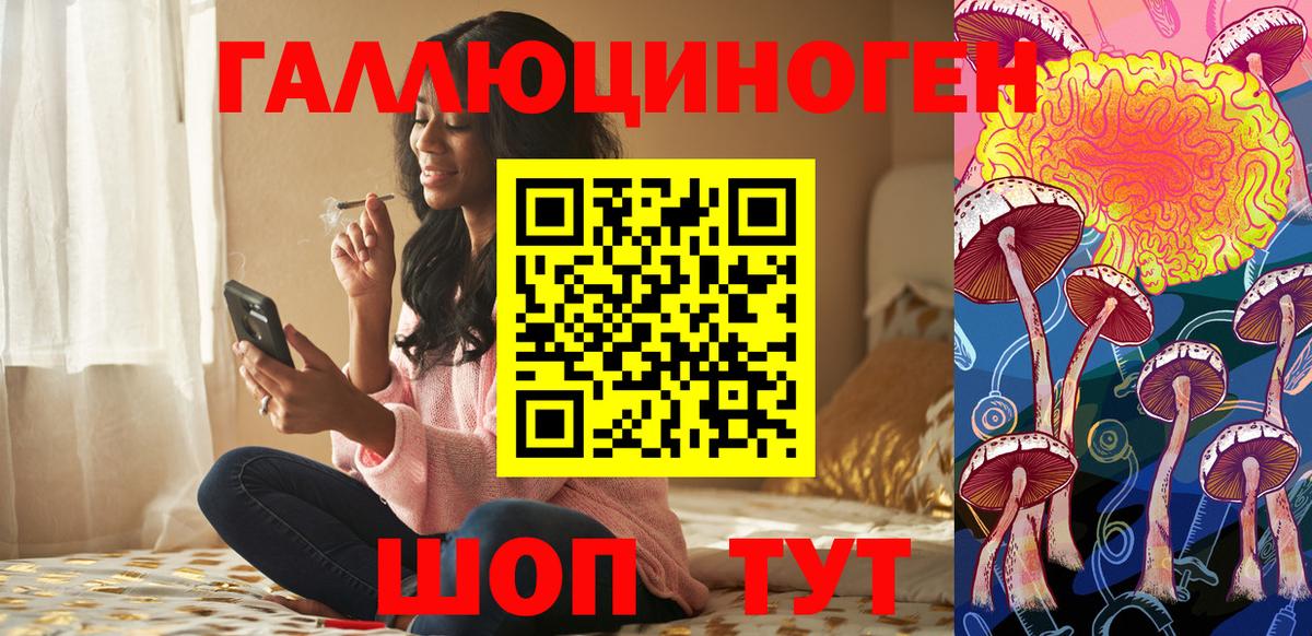 Галлюциногенные грибы мухоморы Новозыбков