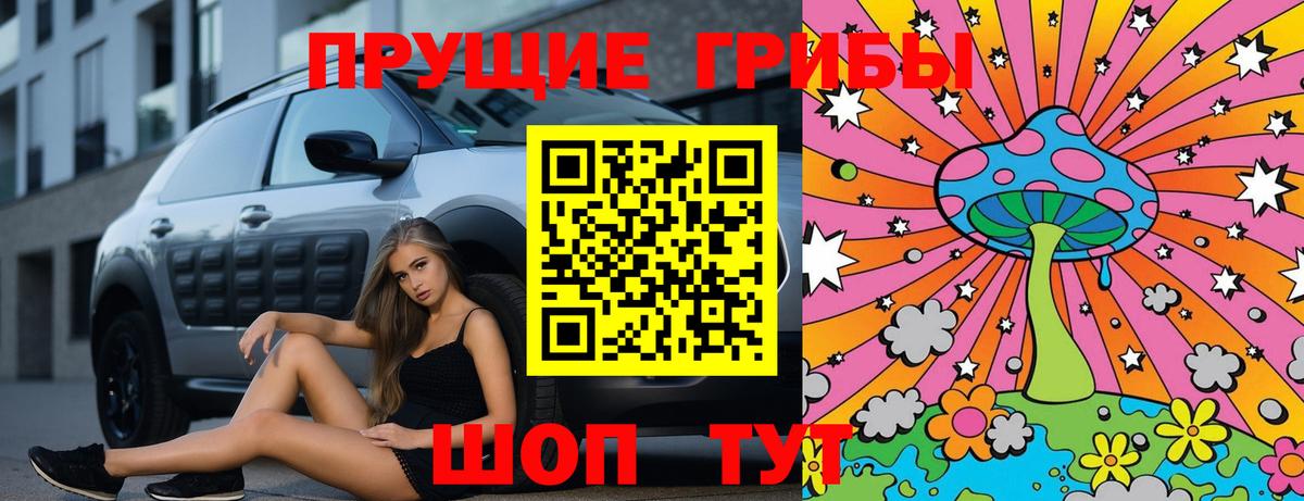 Новозыбков  Галлюциногенные грибы Psilocybe  Вход с VPN 